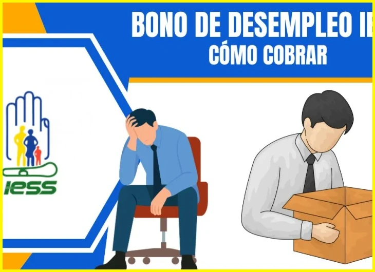Cómo consultar el historial de aportes en el portal del IESS