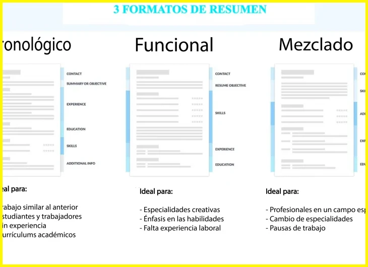 Incluir datos personales, resumen profesional y experiencia laboral verificable